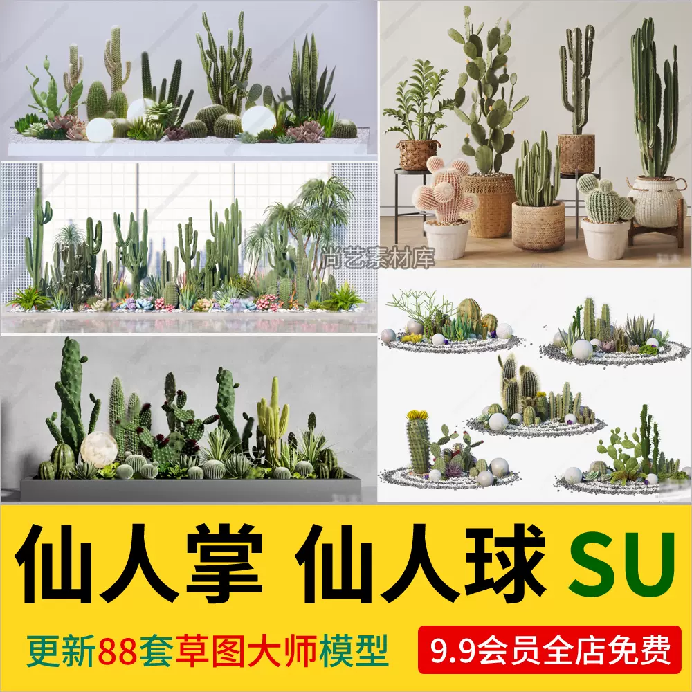 仙人掌仙人球植物堆SU模型热带仙人掌绿植造景多肉植物SU草图大师-cg男孩