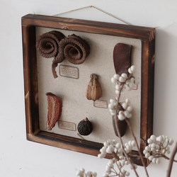 Wulihome Seed Specimen Frame Japanese Vintage Three-Dimensional Plant Dried Flower Wall Hanging Photo Frame Shop Coffee Display
