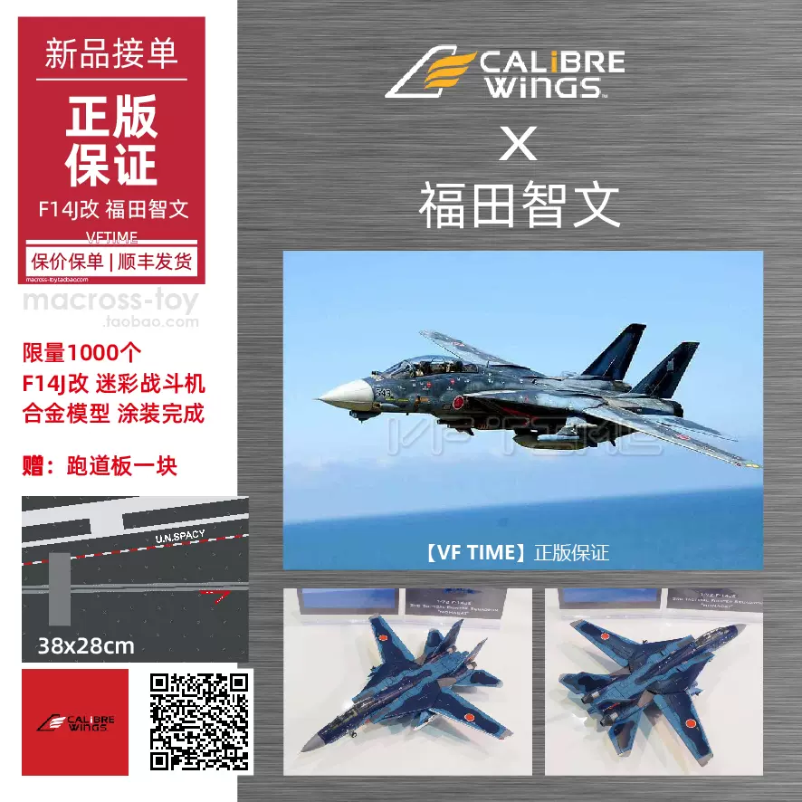 Calibre Wings（カリバー） F-14J改 航空自衛隊 洋上迷彩 「Mona Cat