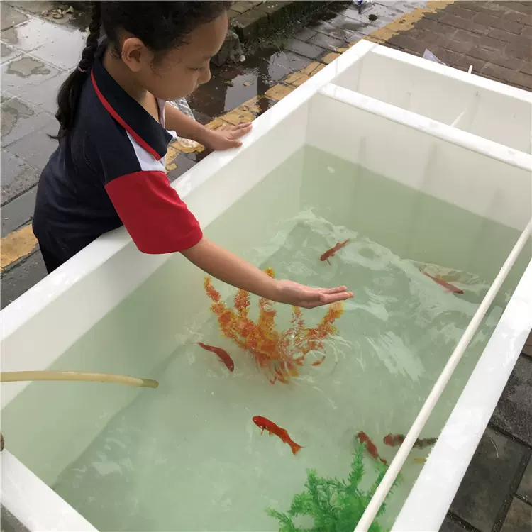 客厅阳台家用大型过滤鱼缸龟缸加过滤器水箱金鱼锦鲤池