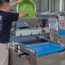 3D Cookie Decorating Machine, Fully Automatic Wire Cutting Karla Stick Biscuit Machine, Cupcake Batter Filling Machine