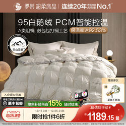 Luolai Home Textiles 95% Goose down Quilt, down Quilt for Spring and Autumn, Student Quilt for All Seasons, Thickened Warm Quilt Core, Winter Quilt