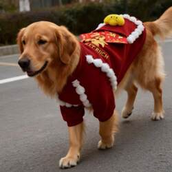 Kailina Dog New Year Clothes Red Embroidered Fortune Character Sweater Winter Fleece-Lined Warm Small Pet Outfit