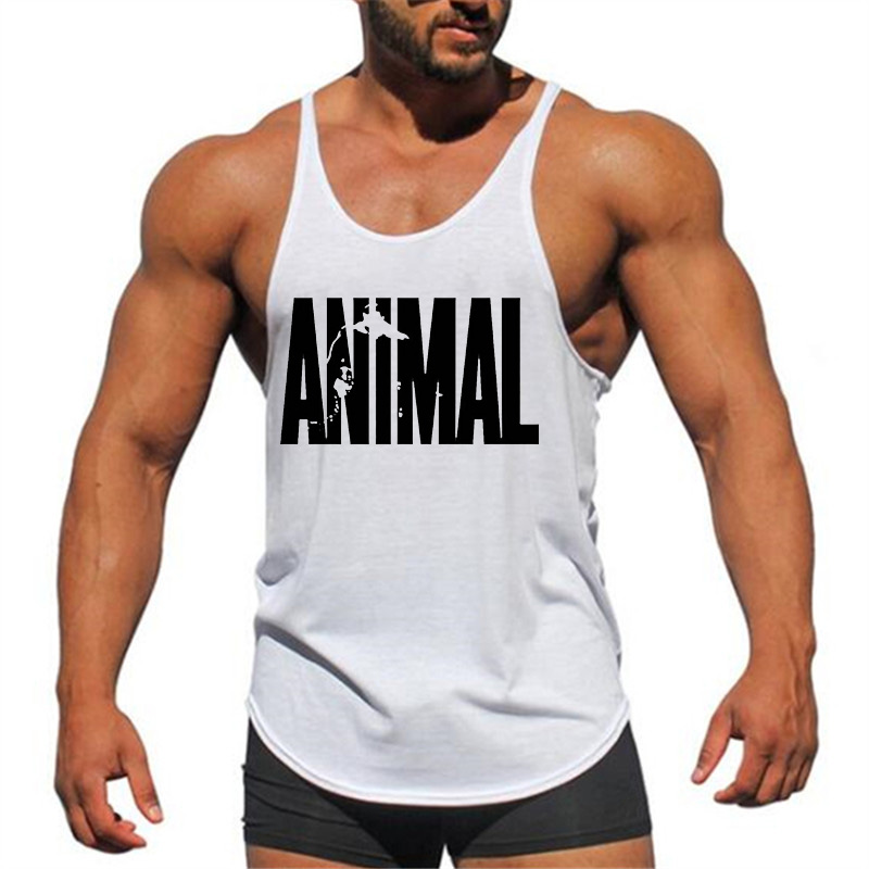 ANIMAL ۷ι     ƮϽ    ư Y  ϰ мųʺ   Ʈ  -