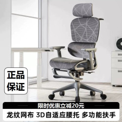 Dibesen E3 Ergonomic Chair Home Computer Chair Comfortable Office Chair Backrest Seat Study Chair Gaming Chair
