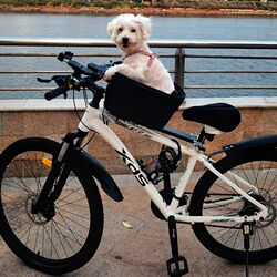 Bicycle Pet Seat Mountain Bike Dog Carrier Road Bike Dog Basket Foldable Car-Mounted Small Dog Basket