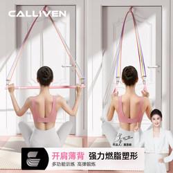 Resistance Band for Home Use, Elastic Band for Women, Home Resistance Trainer, Overhead Pull-Down, Door-Mounted, Shoulder and Back Exercise Tool