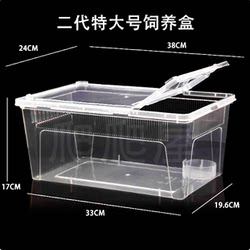 Eyelash-horned gecko lizard reptile beetle breeding box pet snake spider horned frog turtle reptile special box scum box