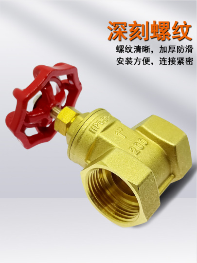 厚みのある真鍮ゲートバルブ 6 分 1 インチねじ込み水道メーター