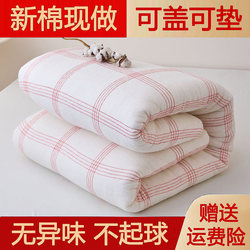 Cotton Quilt, Winter Quilt, Cotton Pad, Bedding, Non-Slip Single Mattress, Bed Base, Student Dormitory Bed, Cotton Batting Pad