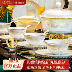 Tableware Set for Home Use 2025 New Model High-Value Bowls and Plates Set for Home Use Housewarming Jingdezhen Ceramic Bowls