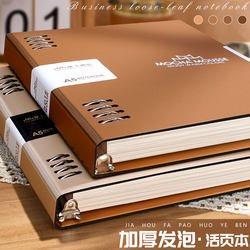 B5 Loose-Leaf Notebook, Comfortable to Hold, Detachable Ring Binder, Coil Notebook, A5 Notebook for Middle School, High School, and College Students, Thick Lined Paper, Exam Preparation Notebook, Simple Binder, Diary