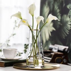 Gold-Painted Nordic Minimalist Creative Glass Vase ins Style Transparent Flower Vessel for Fresh Flowers and Flower Arrangements, Living Room Decoration