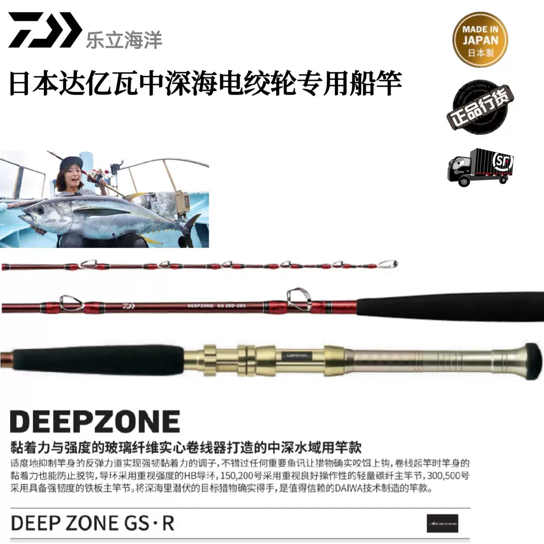 ロッド DEEPZONE GS 200-205 DAIWA（ダイワ） DAIWA DEEP ZONE GS ディープゾーン 200-205・R