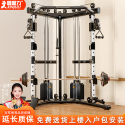 Small Bird-Style Multi-Functional Home Gym Equipment with Pull-Down Bar, Squat Rack, and Bench Press Rack