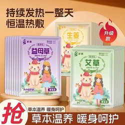 Warm Patches for Menstrual Pain Relief for Women, Suitable for Cold Uterus, with Motherwort, Mugwort, and Ginger Self-Heating Patches