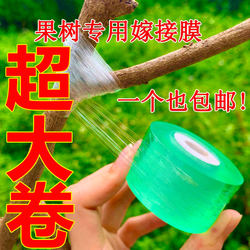 Grafting Film for Grafting Trees, Fruit Trees, Wrapping Film, Special Plastic Film for Grafting, Self-Adhesive, Environmentally Friendly, Transparent Stretch Film, Insulation Film