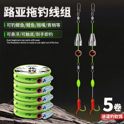 Lure Fishing Rig for Crucian Carp in Autumn and Winter, Complete Set for Carp Fishing, Trolling Rig for Crucian Carp