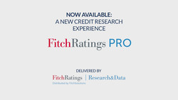 Fitch Ratings Pro Fitch Credit Ratings Research Reports Market Insights