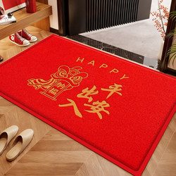 Entrance door floor mats, high-end safe entry and exit door mats, anti-slip wire loop carpets, home door dust removal, entrance door mats