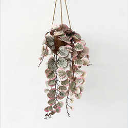 ins Nordic Artificial Vine Plant Hanging Decoration Green Plant Ornament for Store and Home Decoration