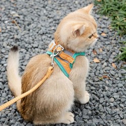 Cat leash, cute vest-style chest and back, anti-breakaway kitten Velcro safety buckle, reflective pet walking cat