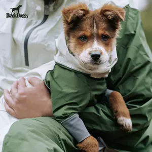 breathable large medium and small dog Latest Best Selling Praise