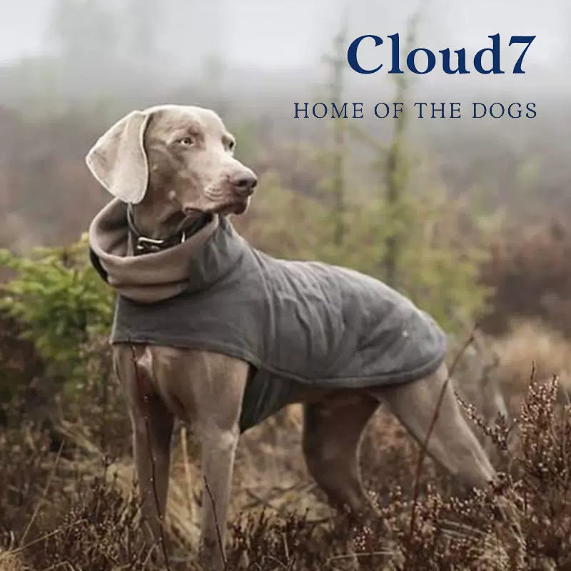 Cloud7防水衣服布鲁克林狗狗宠物用品风衣大型犬中型犬小型犬