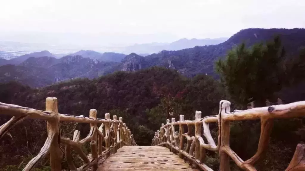 紫凝山图片