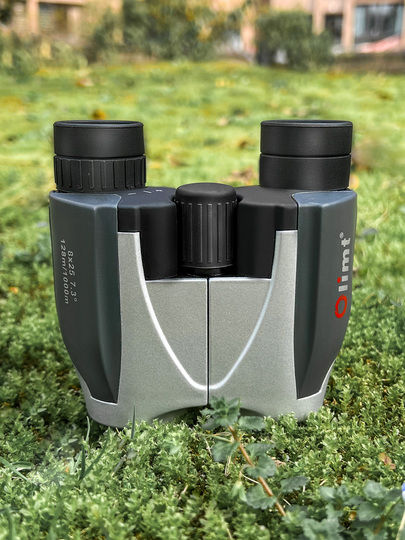 Are Compact Binoculars Enough for Stadium Concerts? Expert Insights
