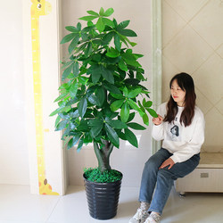 Artificial Money Tree Green Plant, Realistic Potted Plant for Living Room Indoor Decoration, Large Plastic Pot