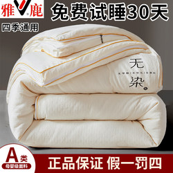 Yalu Soybean Fiber Quilt, Spring and Autumn Quilt, Two-In-One Quilt, All-Season Universal Quilt Core, Thickened Warm Cotton Quilt, Winter Quilt