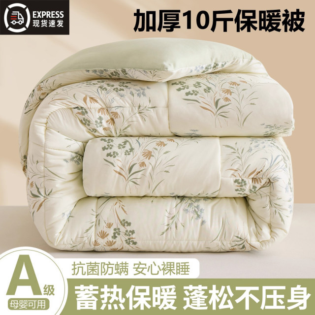 Winter quilt, winter quilt, thickened warm cotton quilt core, winter student dormitory single spring and autumn quilt, universal for all seasons