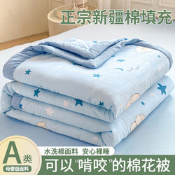 Authentic Xinjiang Cotton Quilt, Summer Cooling Quilt, 2026 New Model, Air-Conditioning Quilt, Summer All-Cotton Pure Cotton, Machine Washable, Thin Air-Conditioning Quilt