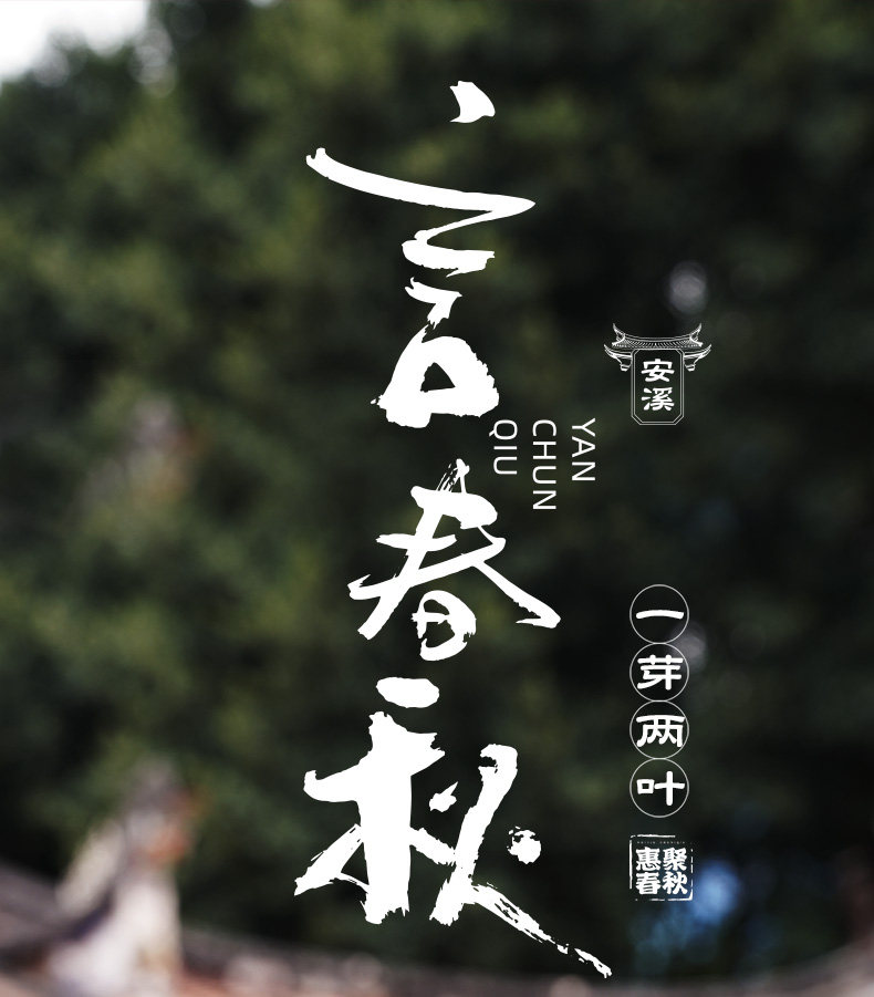 鉄観音茶 - 豊かな香り、2023年春 - 500g ギフトボックス