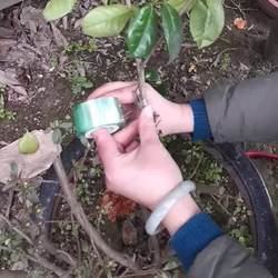 Pvc Industrial Stretch Film, Environmentally Friendly Grafting Film, Packaging Film, Protective Film, Electrostatic Film, Packaging Film, Wire Stretch Film