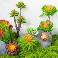 Simulated succulents ins artificial flowers