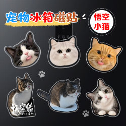 diy pet cat dog acrylic customized high-end