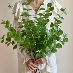 Eucalyptus Leaves High-End Light Luxury Artificial Green Plants Fake Plants Indoor Decoration Landscaping Living Room Dining Table Fake Floral Arrangements