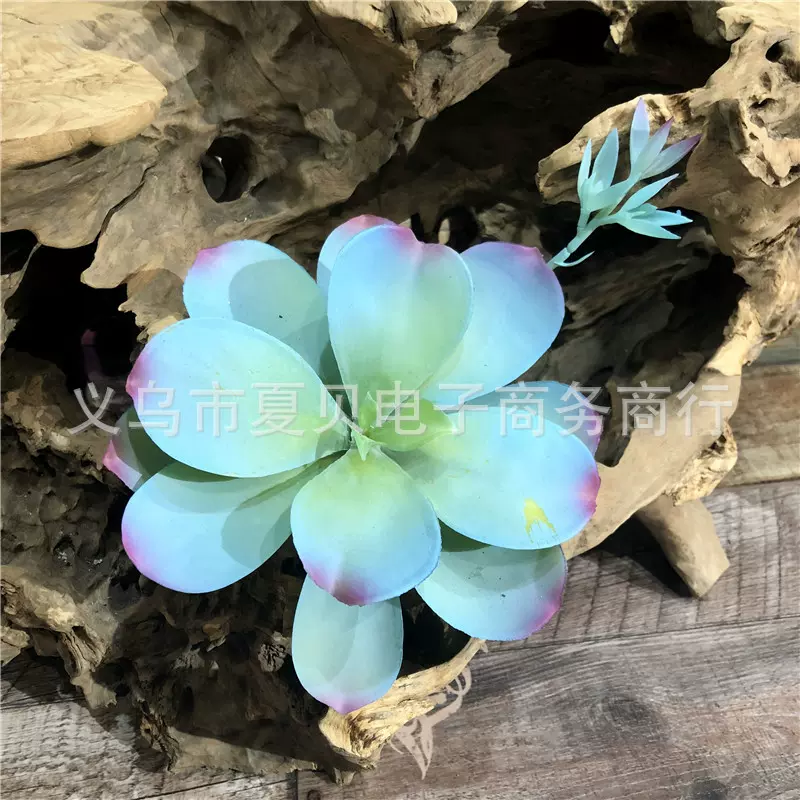 仿真花仿真多肉植物带花沙漠玫瑰蓝色带芽多肉莲花直销
