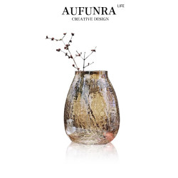 Aufunra Creative Light Luxury Glass Vase ins Style Living Room Entrance Water Planting Flower Arrangement Transparent Home Decoration