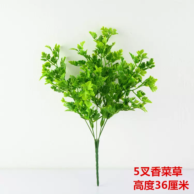 仿真花塑料花5叉香菜草假水草植物墙小盆栽插花绿色