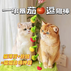 New Tomato-Shaped Cat Teaser Wand, Durable Chew-Resistant Cat Toy, Self-Entertaining and Boredom-Relieving, with Bell, Cat Toy, Cat Supplies, Cat Teaser Ball