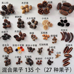 Natural Fruits, Acorns, Pine Cones, Kindergarten Environment Creation Material Package, Photography Props, Handmade DIY Fruits, 27 Types, 135 Pieces