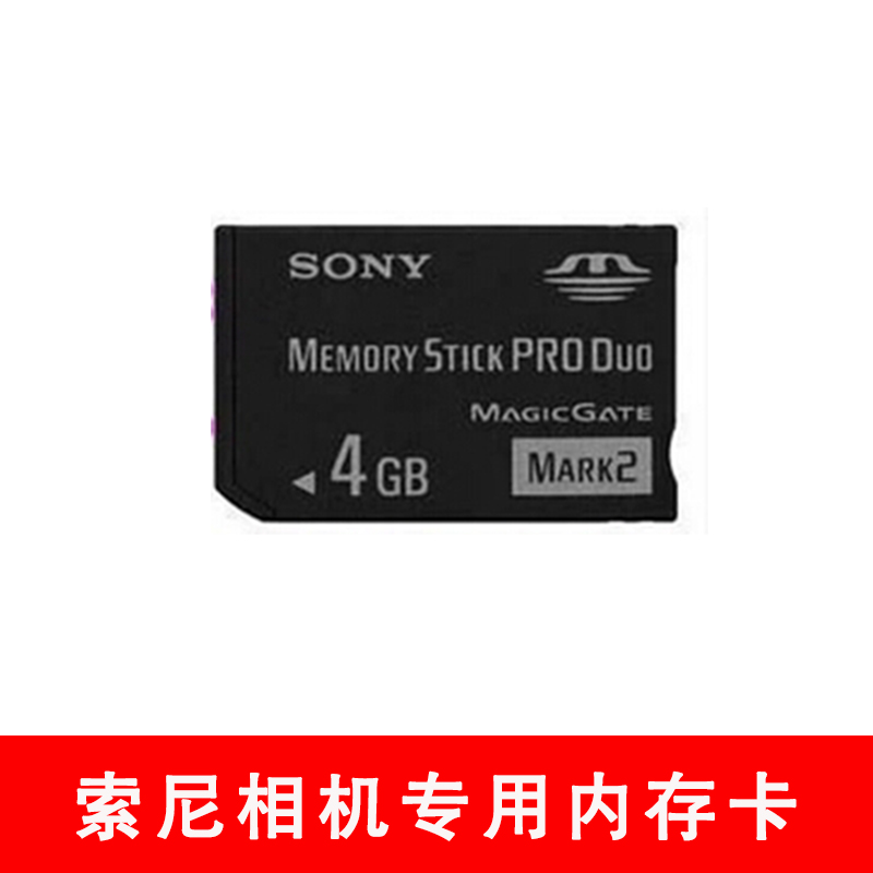 DSC-P100W-