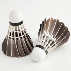 Dailin Badminton Black Goose Feather Shuttlecocks, Available in Packs of 3, 6, or 12, Stable and Durable, Suitable for Training and Competition