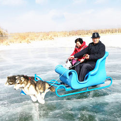 Winter Ice and Snow Amusement Equipment: Electric Dog Sleds, Deer Sleds, Ice Sleds, Snow Bikes, Ice Bikes