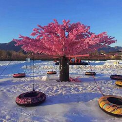 Snowmobile, Ski Ring, Bicycle, Rickshaw, Ice Sled, Snow Amusement Park, Amusement Equipment