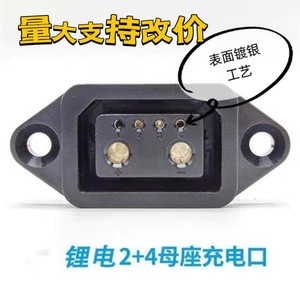 Ema Mavericks Electric Electric Vehicle Tiannengxing Lithium battery 2+4 charging port plug power cable charger conversion head
