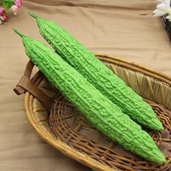 Simulated Pu Long Bitter Melon Fruit and Vegetable Fake Vegetable Model Eggplant Cucumber High-End Vegetable Refrigerator Kitchen Decoration